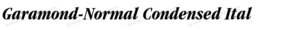 Garamond-Normal Condensed Italic字体转换